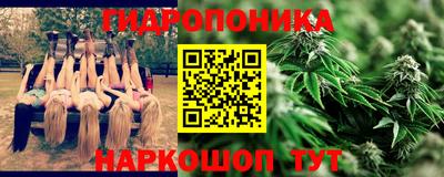 шишки Бузулук